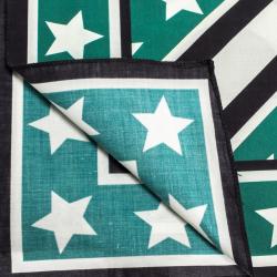 Pre Owned وشاح دولتشي آند غابانا دي جي كوين أخضر/ أسود مطبوع