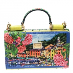 Pre Owned Dolce and Gabbana Multicolor Printed Leather Sicily Von Smartphone Bag