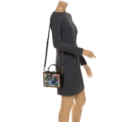 مملوكة مسبقًا Dolce & Gabbana Multicolor Acrylic and Snakeskin Top Handle Box Bag