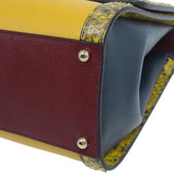 Pre Owned حقيبة دولتشي أند غابانا مونيكا جلد أحمر داكن و جلد ثعبان صغيرة