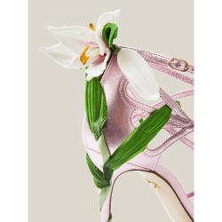 مملوكة مسبقًا صندل دولتشي أند غبانا جلد كعب مرتفع ميتالك أبليك زهرة زنبق وردي مقاس  IT 37