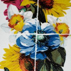 مملوكة مسبقًا Dolce and Gabbana Flower Printed Dauphine Leather Iphone 7 Case