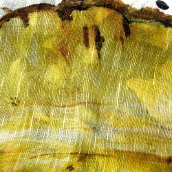 Pre Owned Dolce and Gabbana Multicolor Polka Dotted Pineapple Print Fringed Edge Scarf