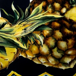 Pre Owned وشاح دولتشي اند غابانا حرير مخطط بنقوش أناناس مربع