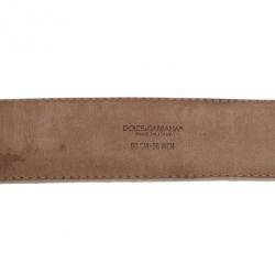 مملوكة مسبقًا Dolce and Gabbana Python Patchwork Logo Plaque Belt 90CM