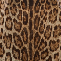 Pre Owned Dolce & Gabbana Brown Animal Print Skirt and Top Set M