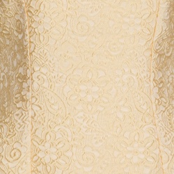 Pre Owned Dolce and Gabbana Ochre Yellow Embossed Jacquard Fitted Top S