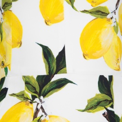 Pre Owned Dolce and Gabbana Lemon Print Sleeveless Midi Sheath Dress S