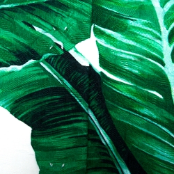 Pre Owned Dolce & Gabbana Bicolor Banana Leaf Print Cotton Silk Coat L