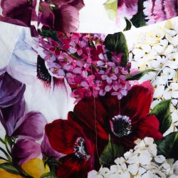 Pre Owned Dolce & Gabbana Multicolor Floral Printed Cotton Shorts S