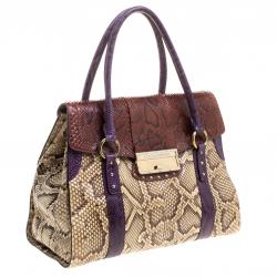 Pre Owned Dolce and Gabbana Multicolor Python Eel Satchel