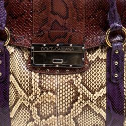 Pre Owned Dolce and Gabbana Multicolor Python Eel Satchel