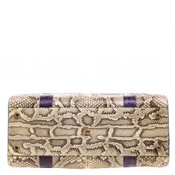 Pre Owned Dolce and Gabbana Multicolor Python Eel Satchel