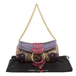 Pre Owned حقيبة كلتش دولتشي أند غابانا سلسلة جلد ثعبان متعددة الألوان