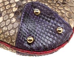 Pre Owned حقيبة كلتش دولتشي أند غابانا سلسلة جلد ثعبان متعددة الألوان