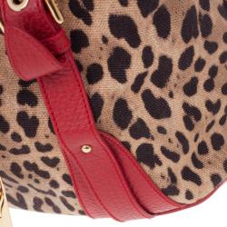 مملوكة مسبقًا Dolce and Gabbana Leopard Print Canvas Bag