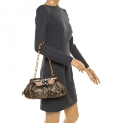 Pre Owned Dolce & Gabbana Metallic Khaki Jacquard Frame Clutch