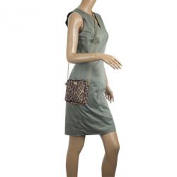 Pre Owned Dolce and Gabbana Leopard Print Crossbody