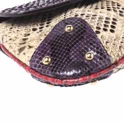 Dolce and Gabbana Multicolor Python D-Ring Flap Chain Hobo
