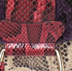 Dolce and Gabbana Multicolor Python D-Ring Flap Chain Hobo
