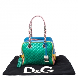 Pre Owned Dolce & Gabbana Multicolor Leather Lily Glam Bowler Bag