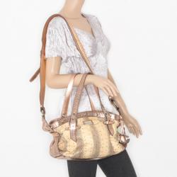 Pre Owned Dolce and Gabbana Python Satchel with Metallic Trim