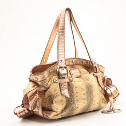 Pre Owned Dolce and Gabbana Python Satchel with Metallic Trim