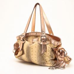 Pre Owned Dolce and Gabbana Python Satchel with Metallic Trim
