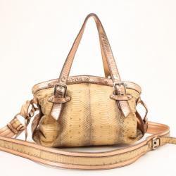 Pre Owned Dolce and Gabbana Python Satchel with Metallic Trim