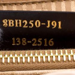 Pre Owned Fendi Multicolor Leather 2Jours Tote