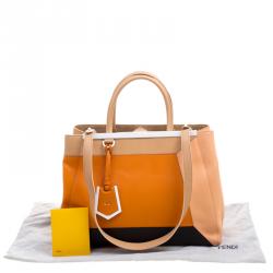 Pre Owned Fendi Multicolor Leather 2Jours Tote