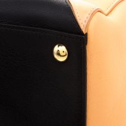 Pre Owned Fendi Multicolor Leather 2Jours Tote