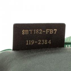 Pre Owned Fendi Green Iridescent Leather Forever Crossbody Bag