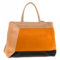 Pre Owned Fendi Multicolor Leather 2Jours Tote