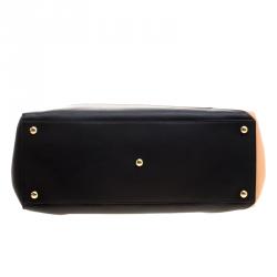 Pre Owned Fendi Multicolor Leather 2Jours Tote
