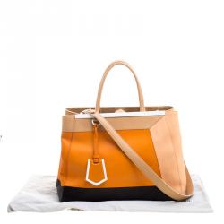 Pre Owned Fendi Multicolor Leather 2Jours Tote