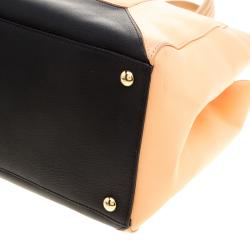 Pre Owned Fendi Multicolor Leather 2Jours Tote