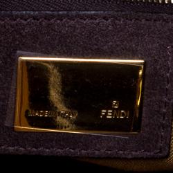 Pre Owned Fendi Multicolor Zucca Canvas and Leather Small Du Jour Tote