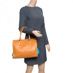 Pre Owned Fendi Brown/Blue Selleria Leather Firenze Frame Tote