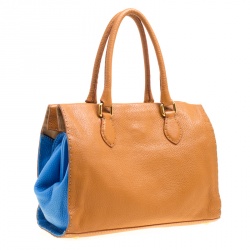 Pre Owned Fendi Brown/Blue Selleria Leather Firenze Frame Tote