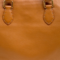 Pre Owned Fendi Brown/Blue Selleria Leather Firenze Frame Tote