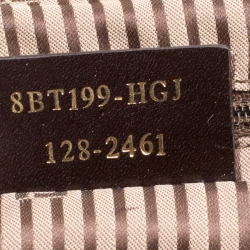 Pre Owned Fendi Brown Leather Chameleon Crossbody Bag