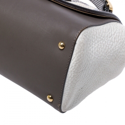 Pre Owned Fendi Multicolor Python and Leather Silvana Top Handle Bag