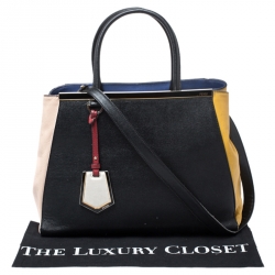 Pre Owned Fendi Multicolor Leather Medium 2Jours Tote