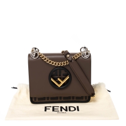 Pre Owned Fendi Brown Leather Mini Kan I Shoulder Bag