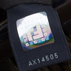 Pre Owned Fendi Multicolor Thread Zucca Canvas Doctor Hobo