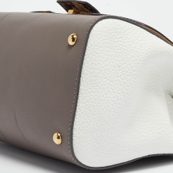 Pre Owned Fendi Multicolor Python and Leather Silvana Top Handle Bag