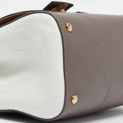 Pre Owned Fendi Multicolor Python and Leather Silvana Top Handle Bag