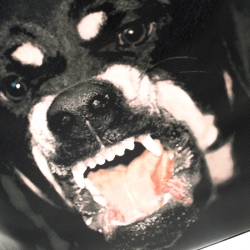 مملوكة مسبقًا Givenchy Black Coated Canvas and Leather Rottweiler Antigona Tote  