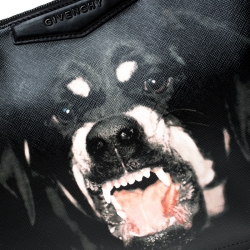 Pre Owned Givenchy Black Coated Canvas Rottweiler Face Clutch